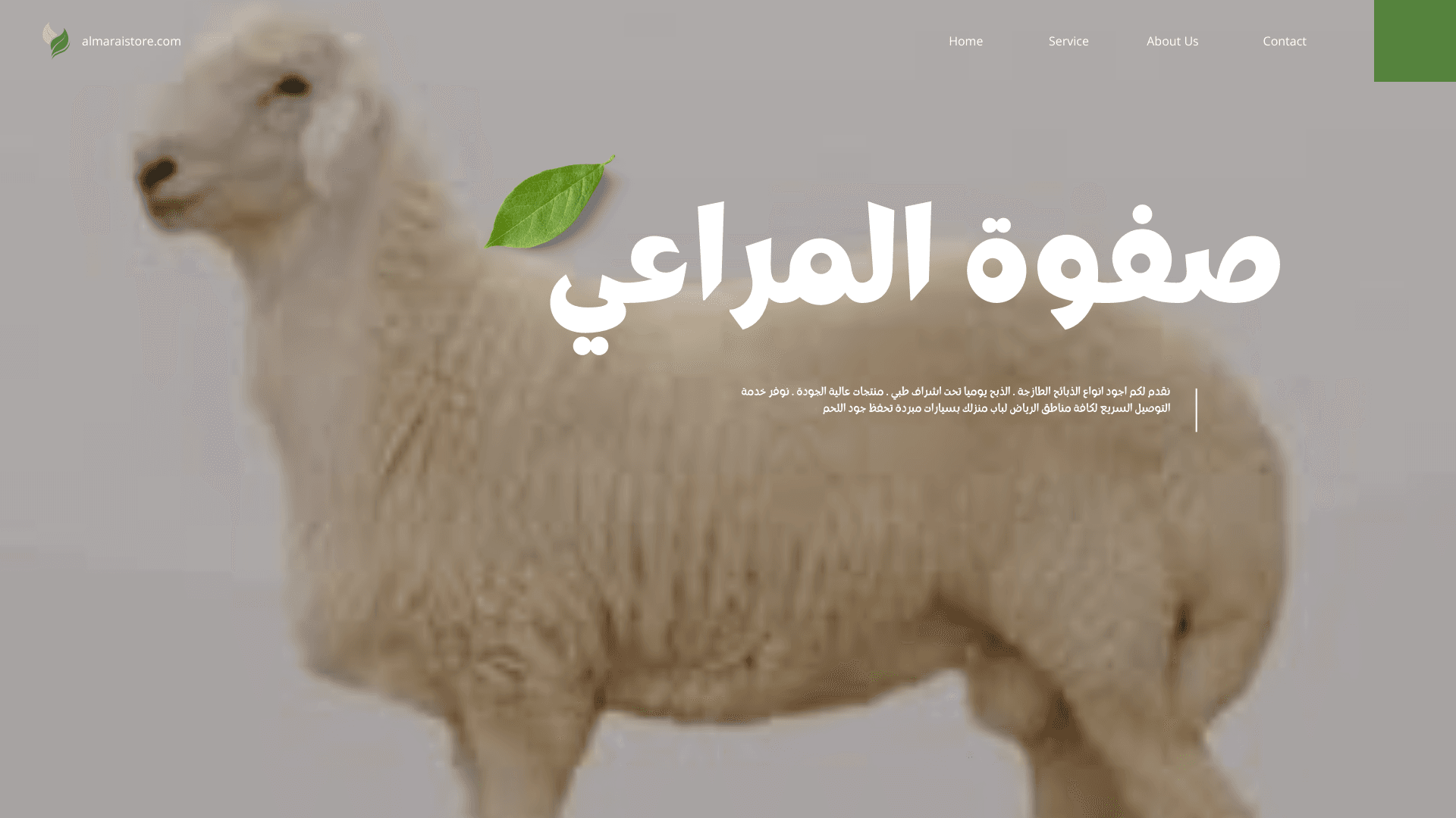 ذبيخة حري الرياض