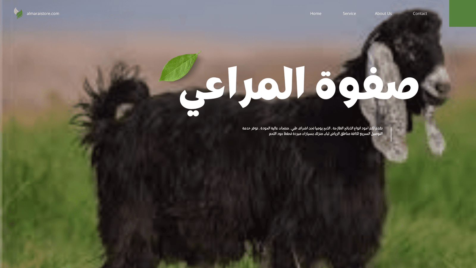 Read more about the article تيس بلدي – متجر ذبائح صفوة المراعي