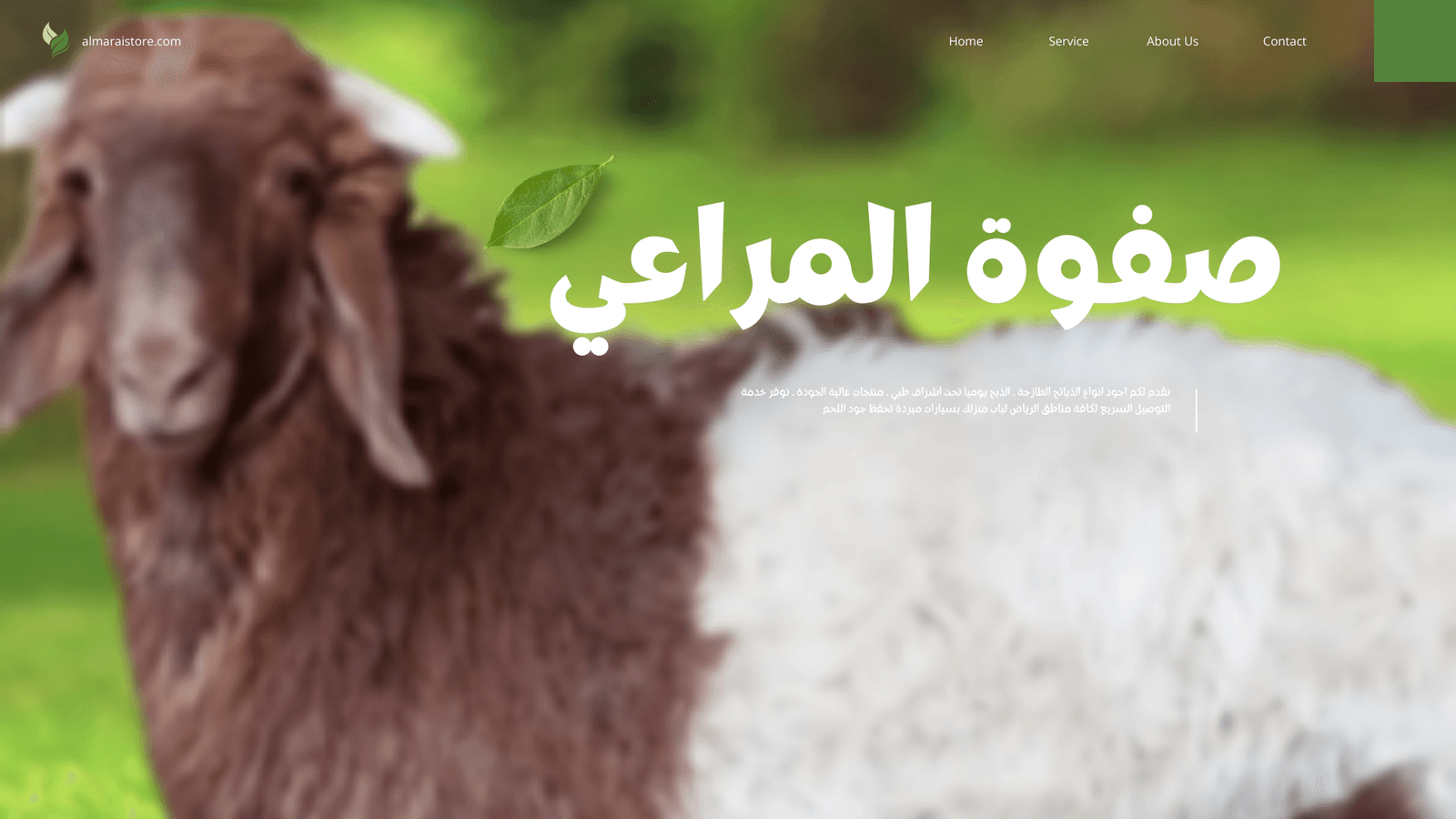 You are currently viewing نعيمي جذع طيب – اضاحي العيد في الرياض