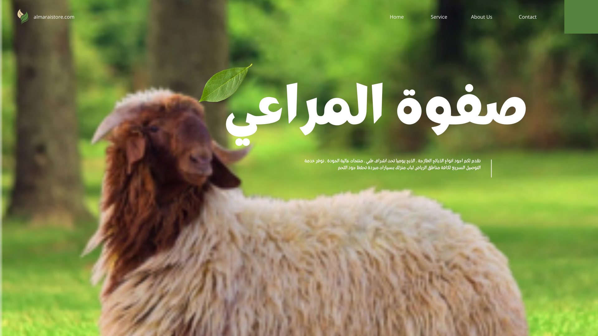 خروف نعيمي فاخر (وسط)