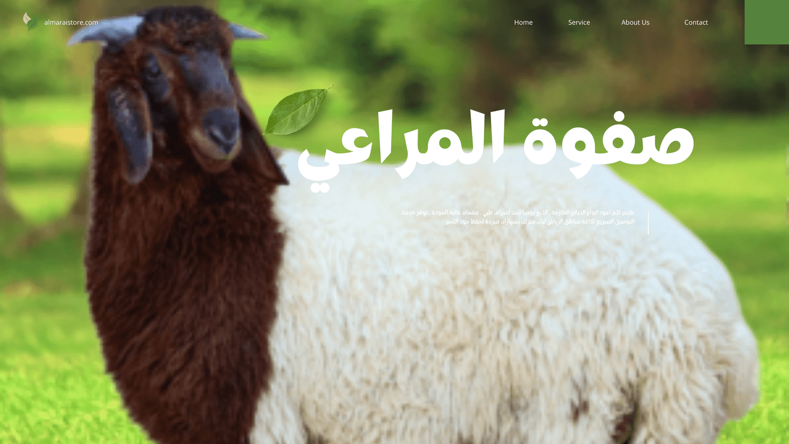You are currently viewing خروف نعيمي بلدي – نخبة الذبائح البلدي الرياض