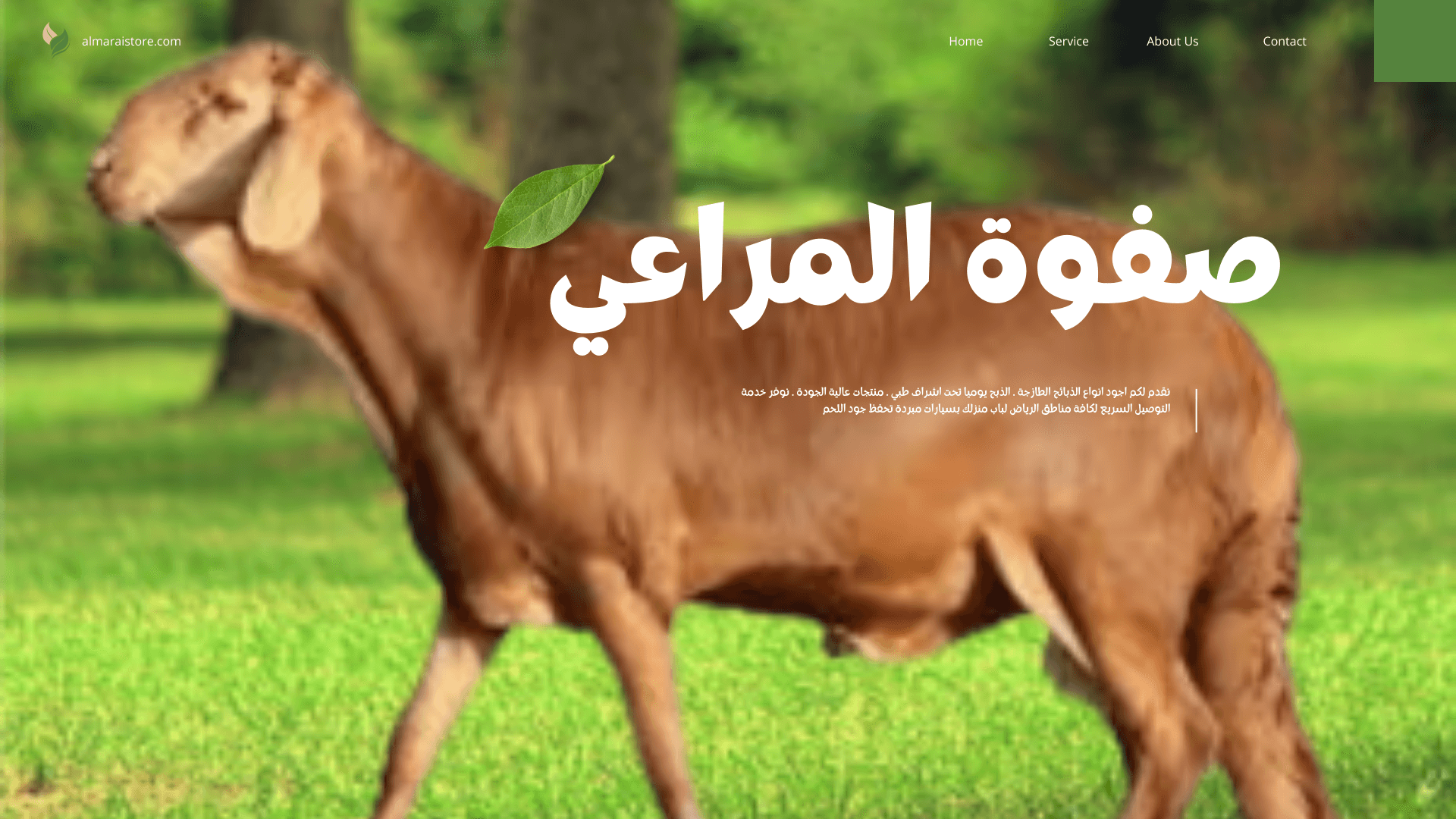 You are currently viewing ذبيحة خروف سواكني مع التوصيل الرياض