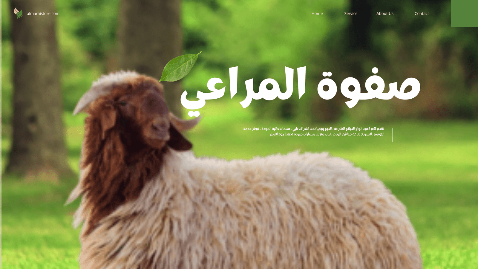 You are currently viewing افضل انواع الغنم النعيمي