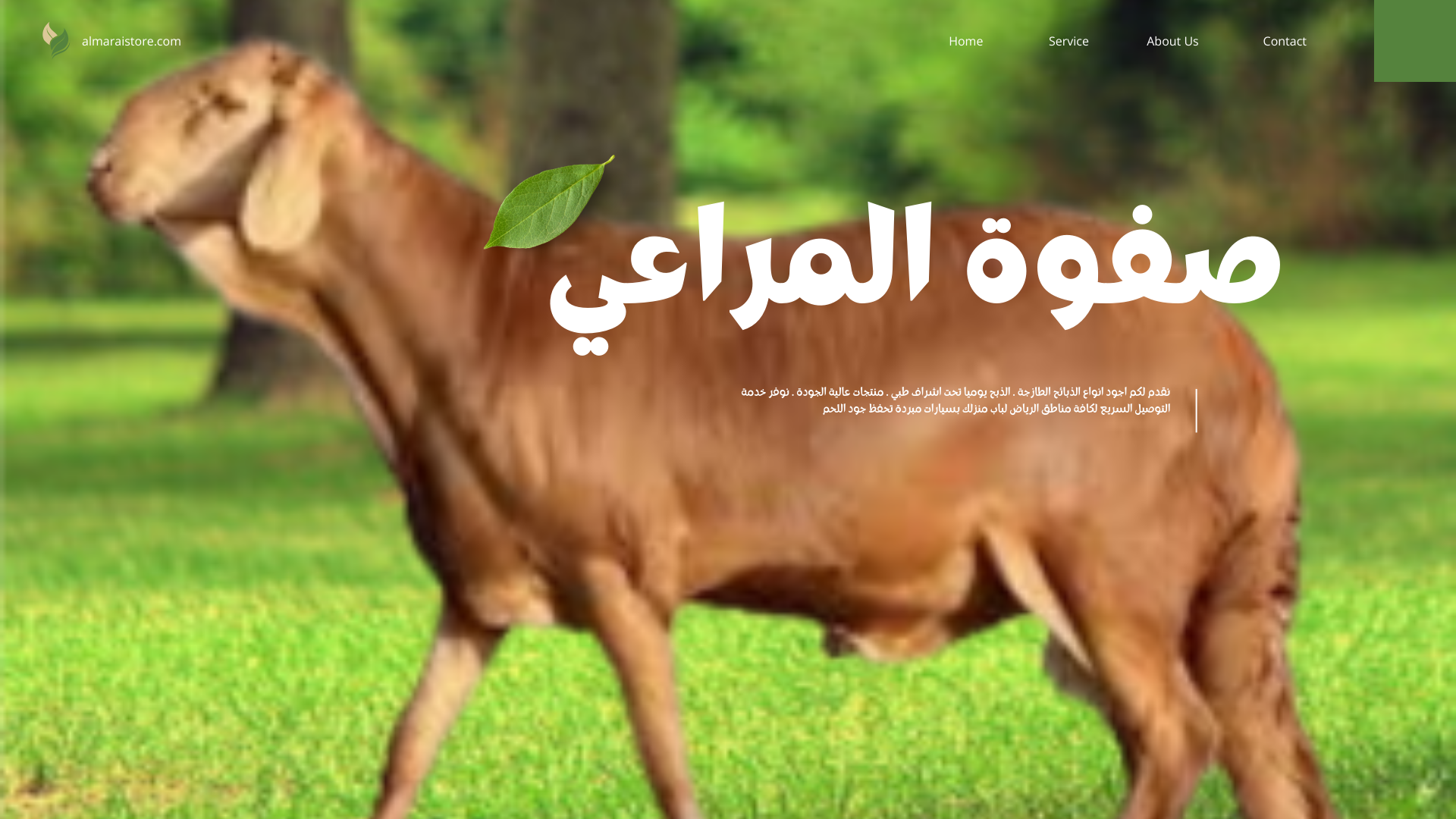 You are currently viewing خروف سواكني فاخر (هرفي)