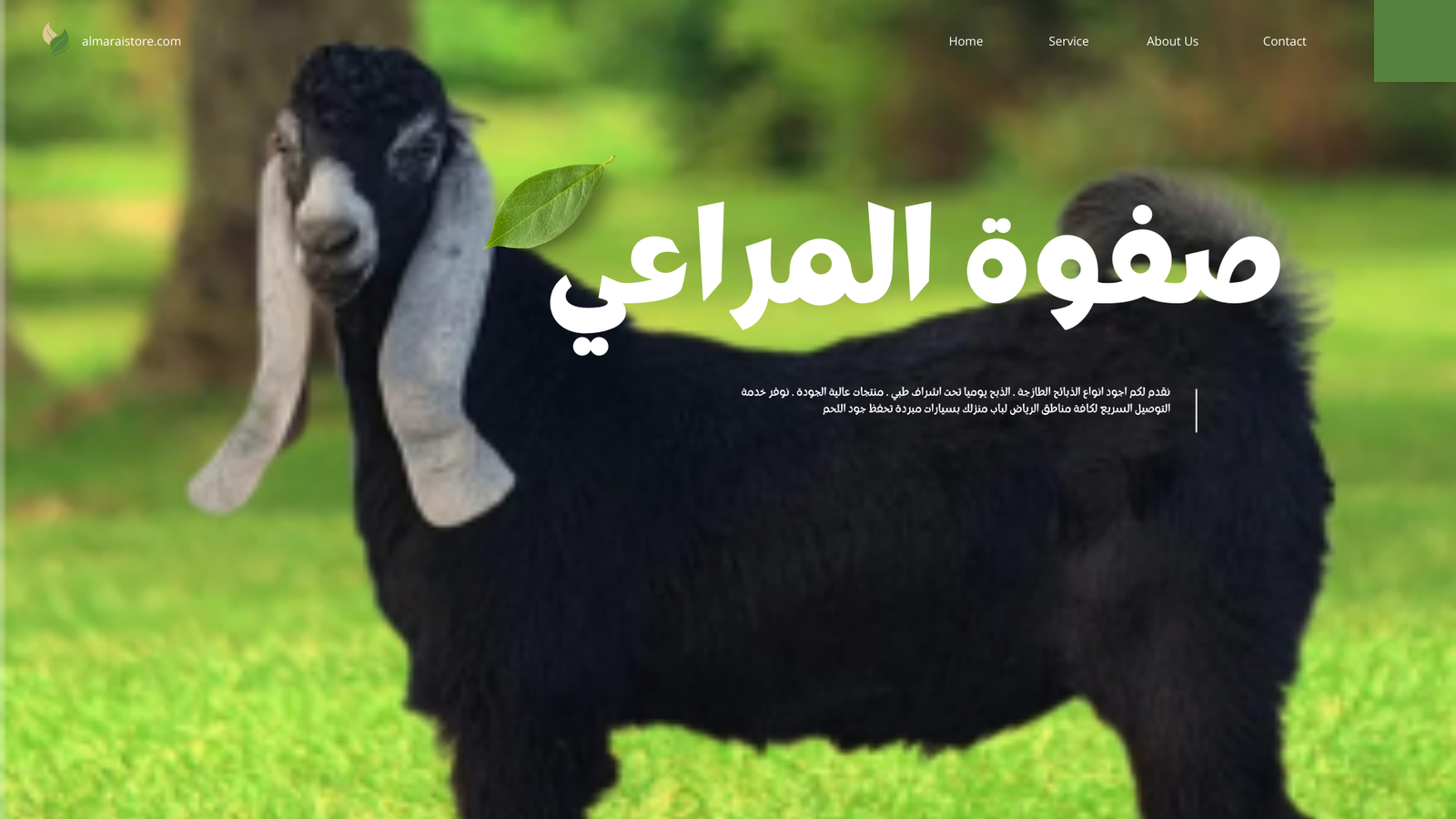 Read more about the article تيس بلدي عارضي مع الذبح والتوصيل