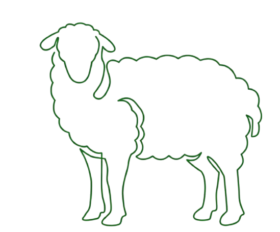 صفوة المراعي للذبائح