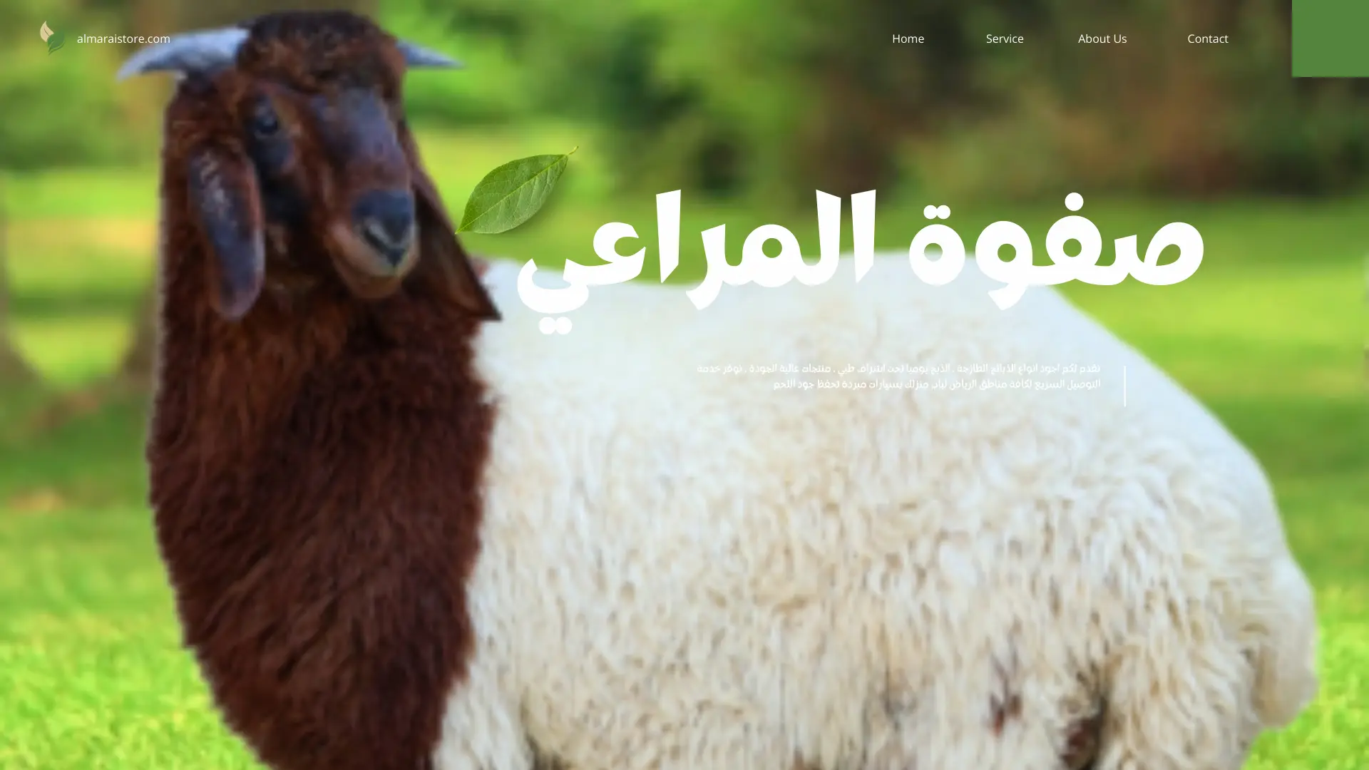 You are currently viewing دليل اختيار أفضل مفطح في الرياض لعام 1447هـ / 2026م