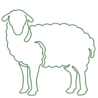 صفوة المراعي