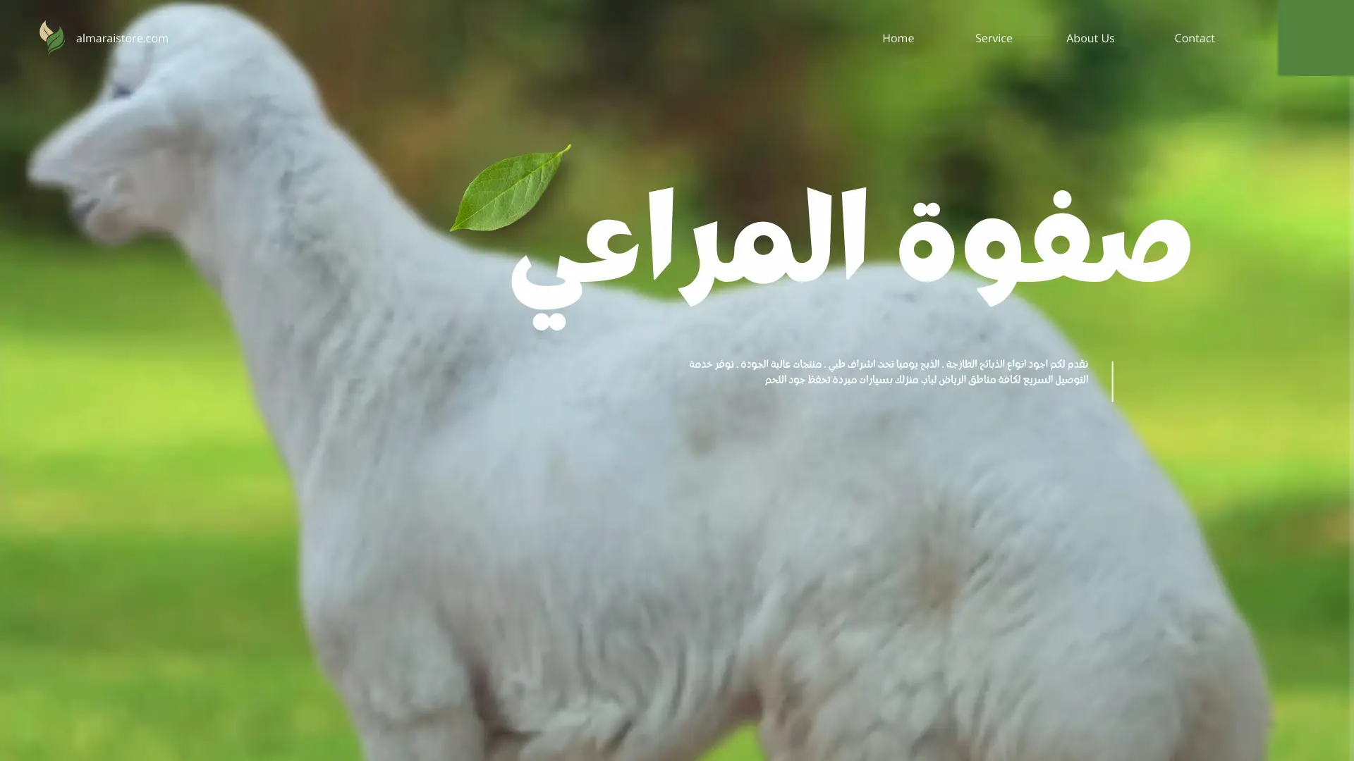 You are currently viewing دليل شراء خروف حري فاخر (وسط) في الرياض – المزايا والأسعار 1447هـ