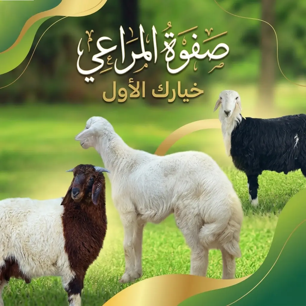 Read more about the article توصيل ذبايح بلدي بمدينة الرياض