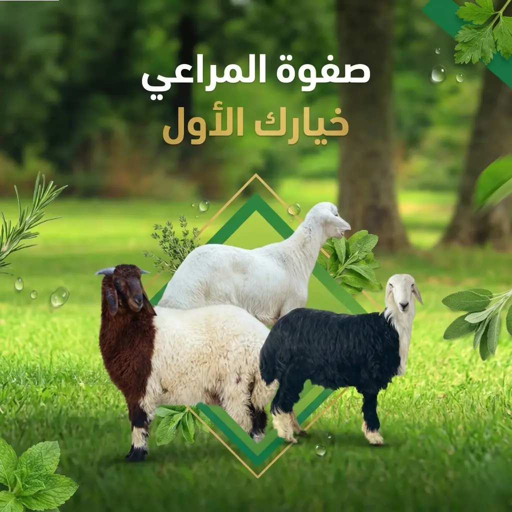 Read more about the article الفرق بين أحجام الذبائح (لباني، هرفي، جذع) وأيها الأنسب لعزيمتك